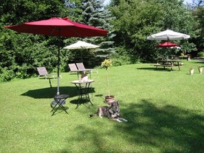 Outdoor dining - Haus 1 - Typ B (Blockhaus) (Schönecken)