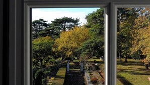 Vista a través de una ventana que muestra un jardín con un camino de piedra, árboles y una zona verde.