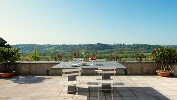 Una terraza con mesa y sillas, plantas en macetas y vistas a un paisaje verde.
