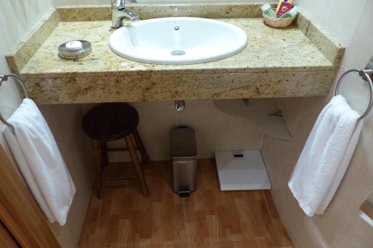 combined shower/bathtub, free toiletries, hair dryer, towels