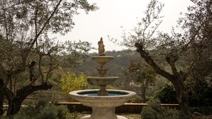 A multi-tiered stone fountain in a garden with trees and a wooden bench. - Al Regio Tratturo (Manoppello)