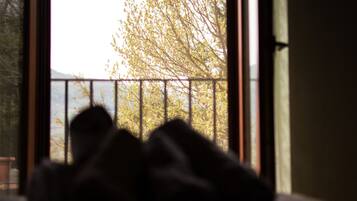 إطلالة الغرفة