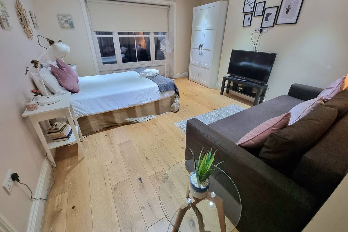 Una sala de estar moderna con una cama, un sofá, un televisor y una planta en maceta.