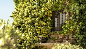 A garden with a stone wall, a metal gate, and various plants. - L'Hostellerie Du Moulin Des Oliviers (Olmeto)