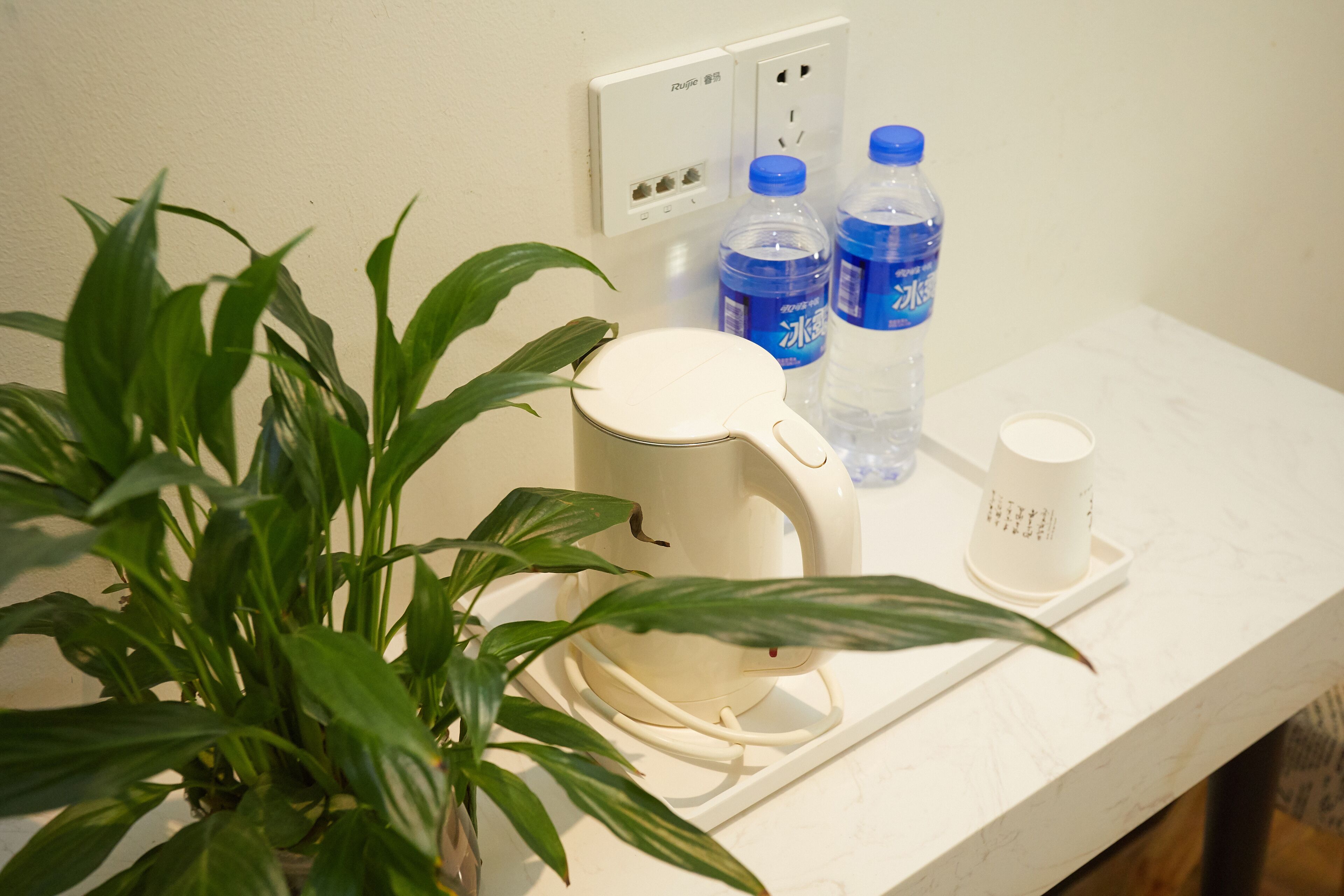 A kitchen counter with a kettle, two water bottles, a cup, and a potted plant.