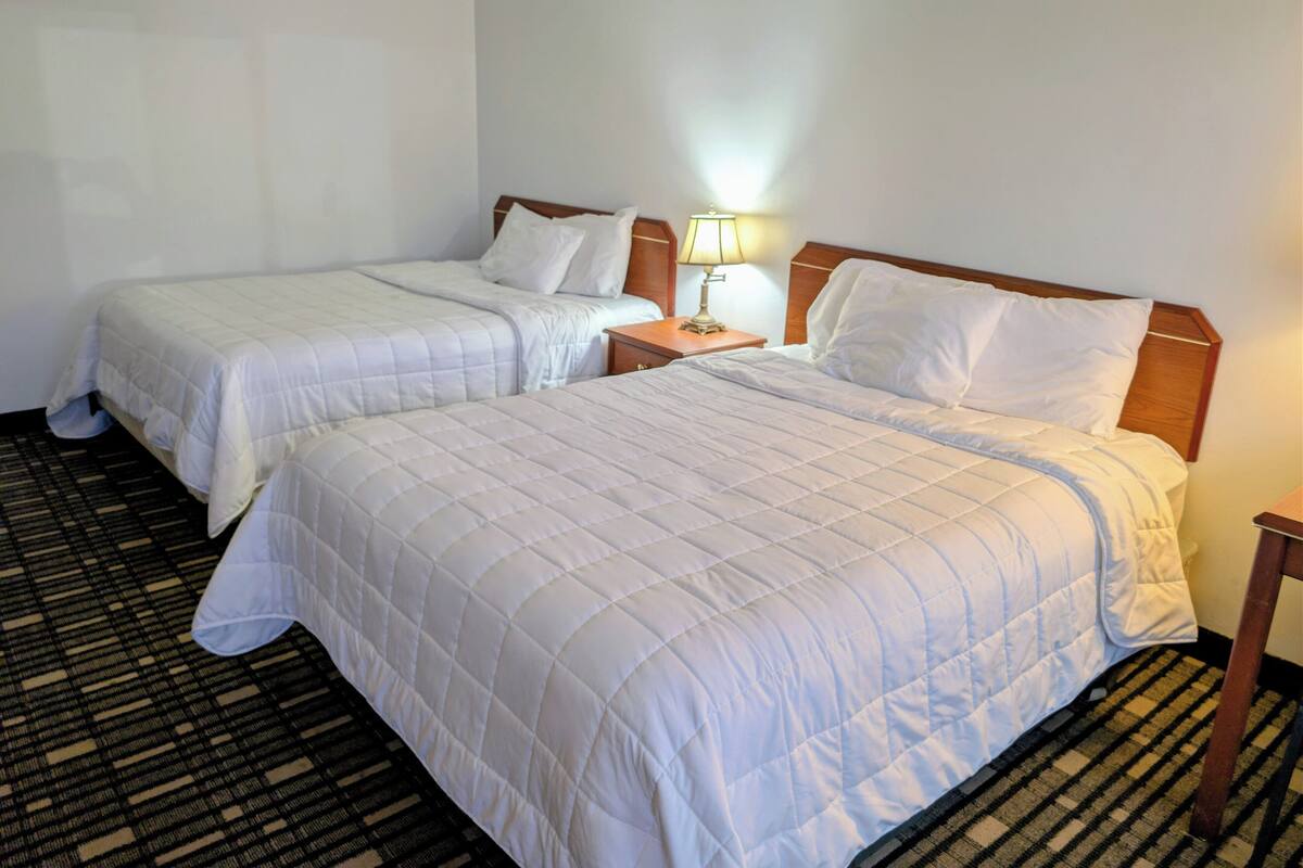 Two single beds with white bedding, a nightstand with a lamp, and a patterned carpet.