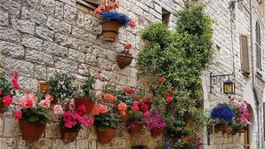 Um edifício de pedra com vários vasos de flores na parede.