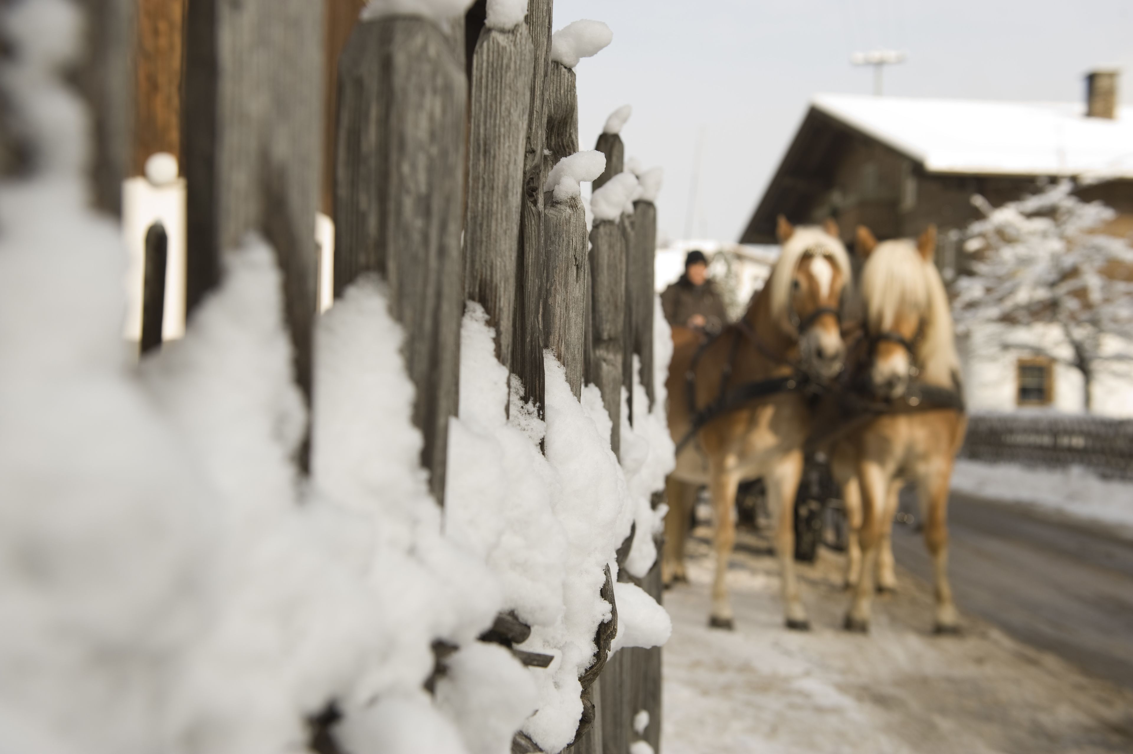 A wooden fence covered in snow with a horse-drawn carriage in the background.