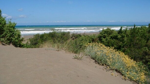 A beach with a sandy path leading to the ocean, surrounded by greenery and yellow flowers. - Apartment- Rosa 4+2 - Two Bedroom Apartment, Sleeps 6 (Val Canina)