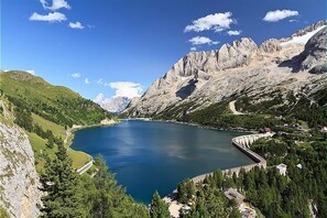 Alberca
