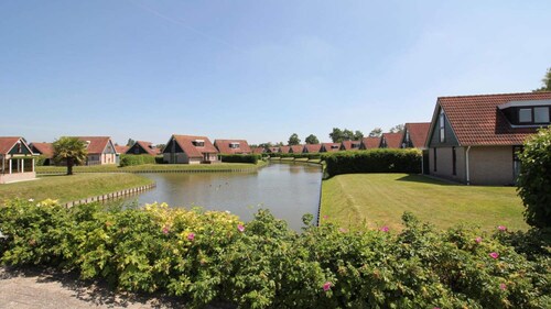 HVZ Orchis Wellness 6p