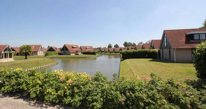 HVZ Orchis Wellness 6p