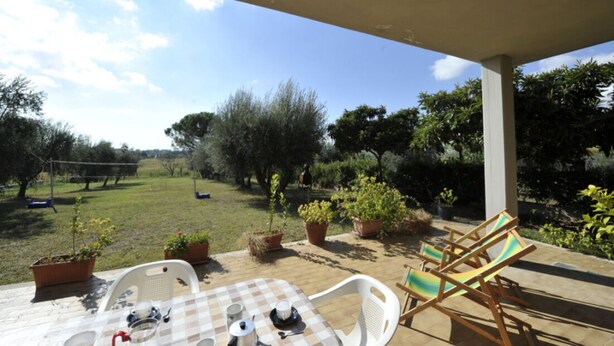 An outdoor patio with a checkered table, chairs, and potted plants.