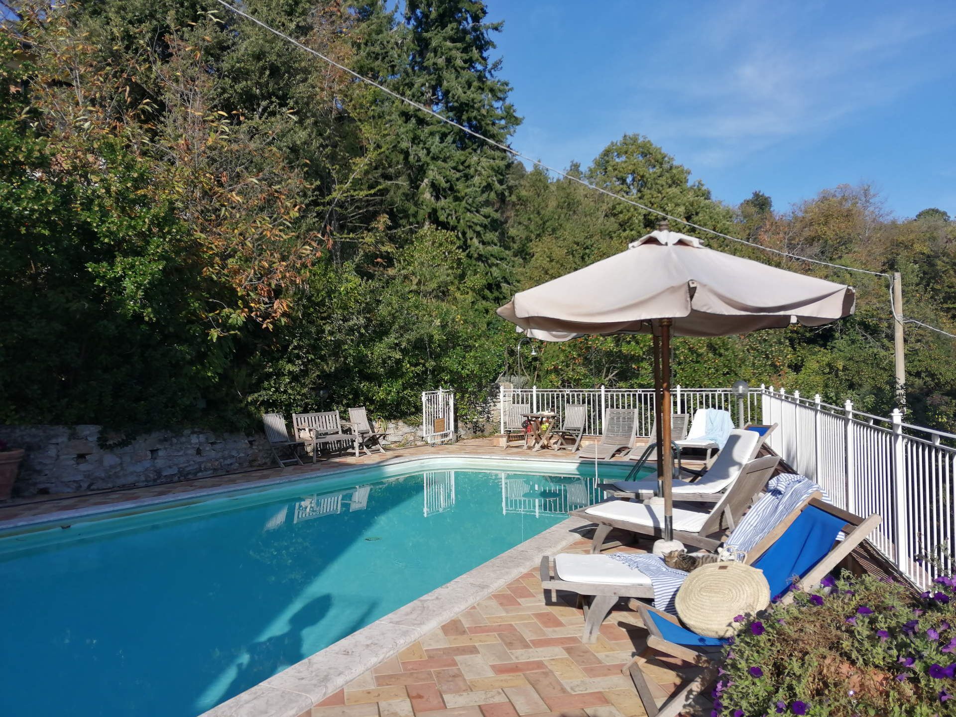 A swimming pool with lounge chairs and an umbrella, surrounded by trees and a stone wall.