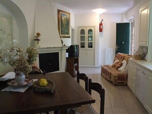 TV, fireplace