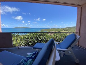 Property grounds - SEA FOREVER - Breathtaking Views Of Buck Island National Park! (Christiansted)