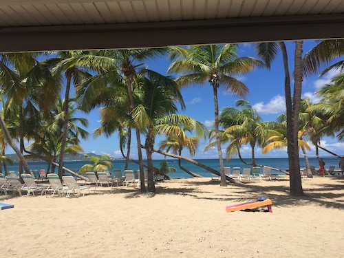 SEA FOREVER - Breathtaking Views Of Buck Island National Park!