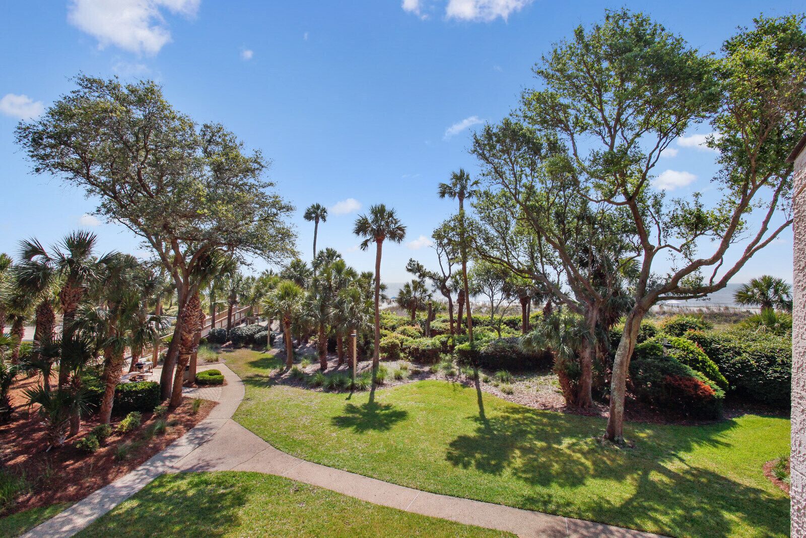 Un jardín ajardinado con un sendero, palmeras y vista al océano.
