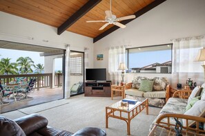 TV, DVD player, video library, stereo