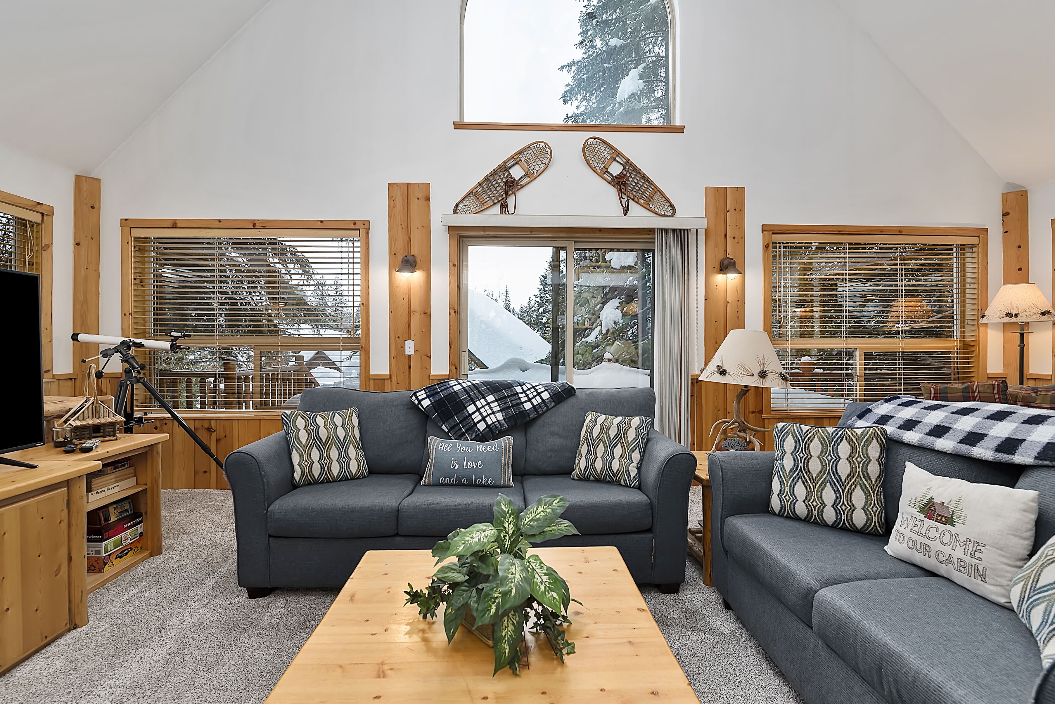 Smart TV, fireplace, video games, DVD player