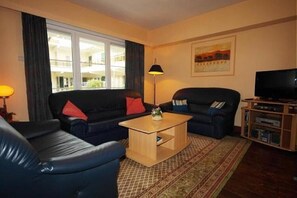 電視、DVD 播放機