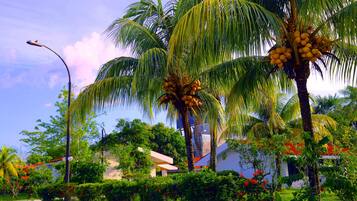 Área da propriedade