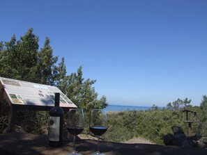 Property grounds - Nautilus 3+2 - One Bedroom Apartment, Sleeps 5 (Marina di Castagneto Carducci)