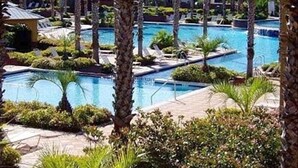 Un resort con varias piscinas rodeado de palmeras y sillas de descanso.