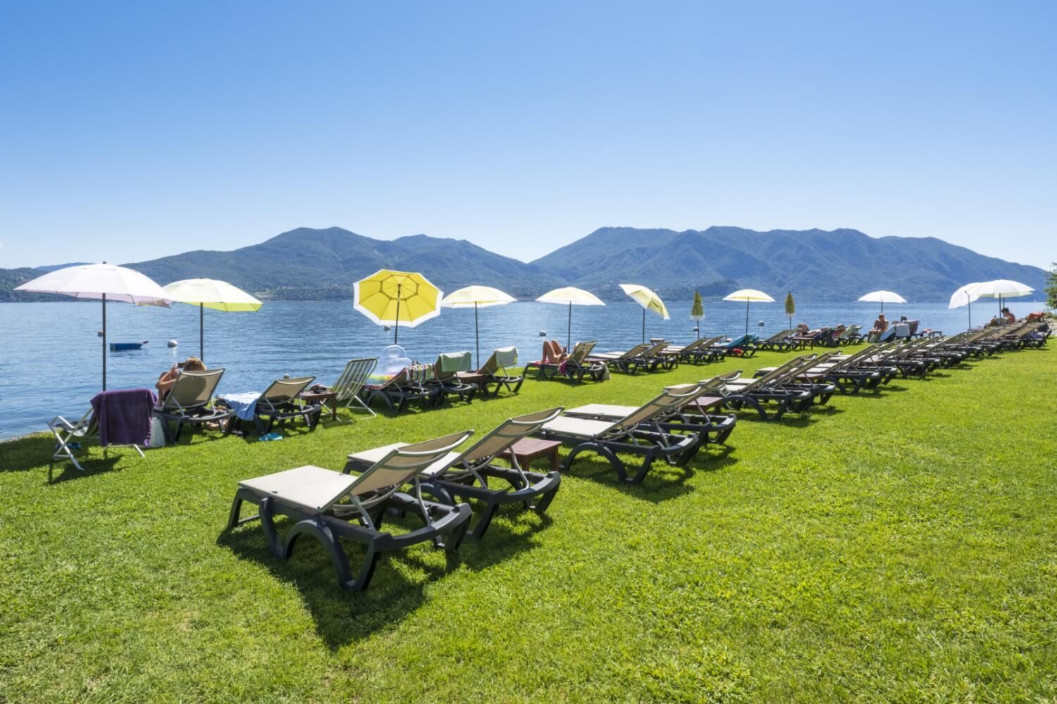 A row of sun loungers with umbrellas on a grassy area by a lake, with mountains in the background.