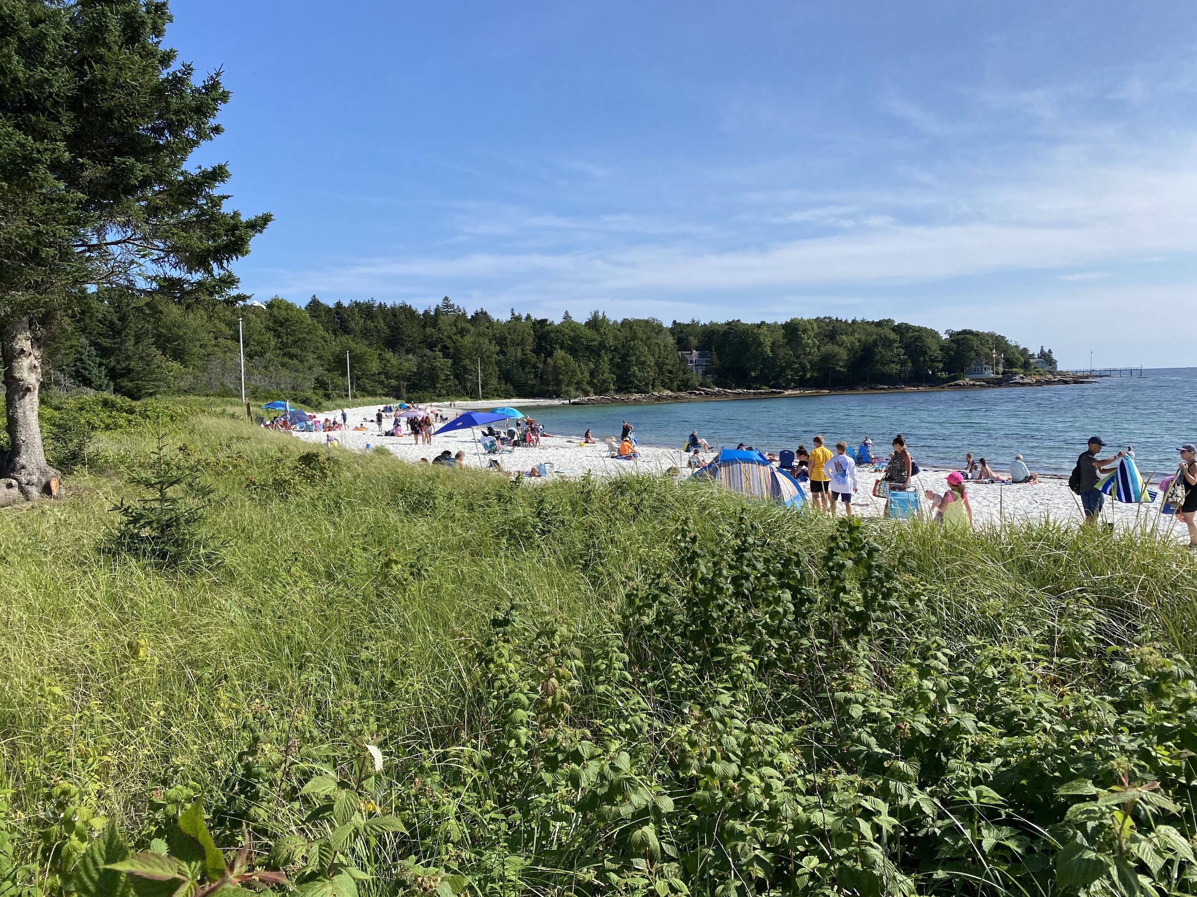 Een strand met mensen, tenten en een bebost gebied op de achtergrond.