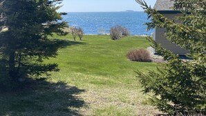A grassy yard with a bench, a small bush, and a tree. - A Historic Storybook Maine Cottage (New Harbor)