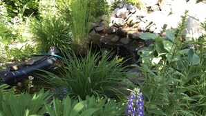 A garden with various plants, a small pond, and a rock formation. - Cozy, Quiet, Getaway for Single or Couple (Big Bay)