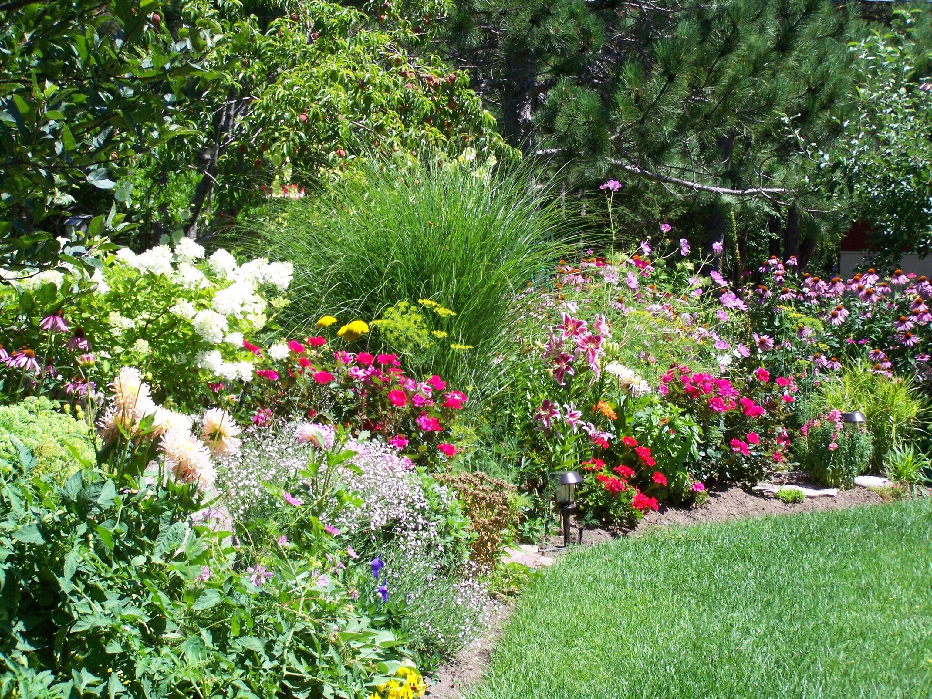 A garden with various flowering plants and a lawn.