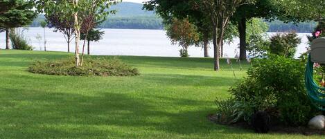 A grassy area with trees and a body of water in the background.
