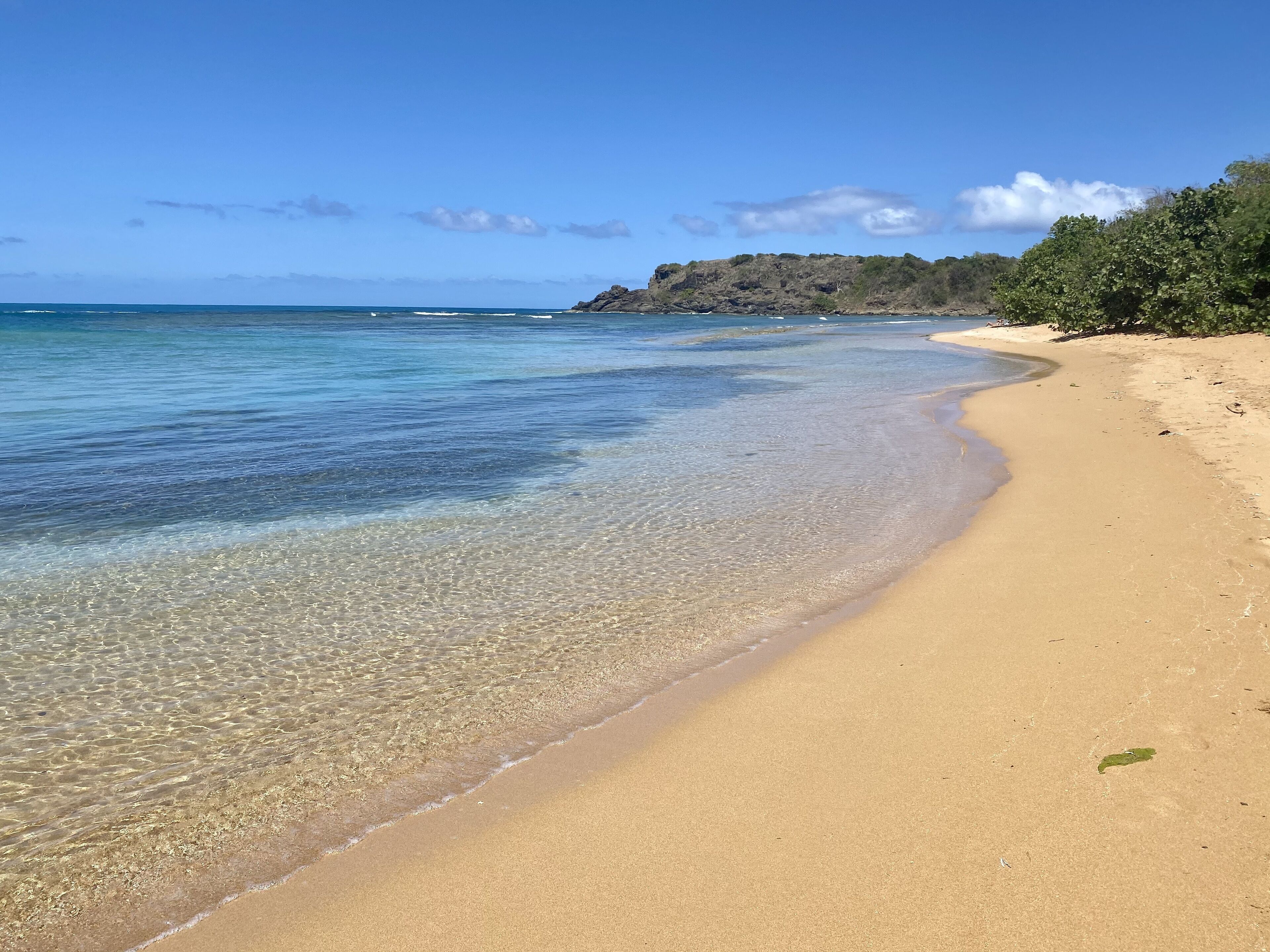 A beach with clear shallow waters, a sandy shore, and a rocky outcrop in the background.