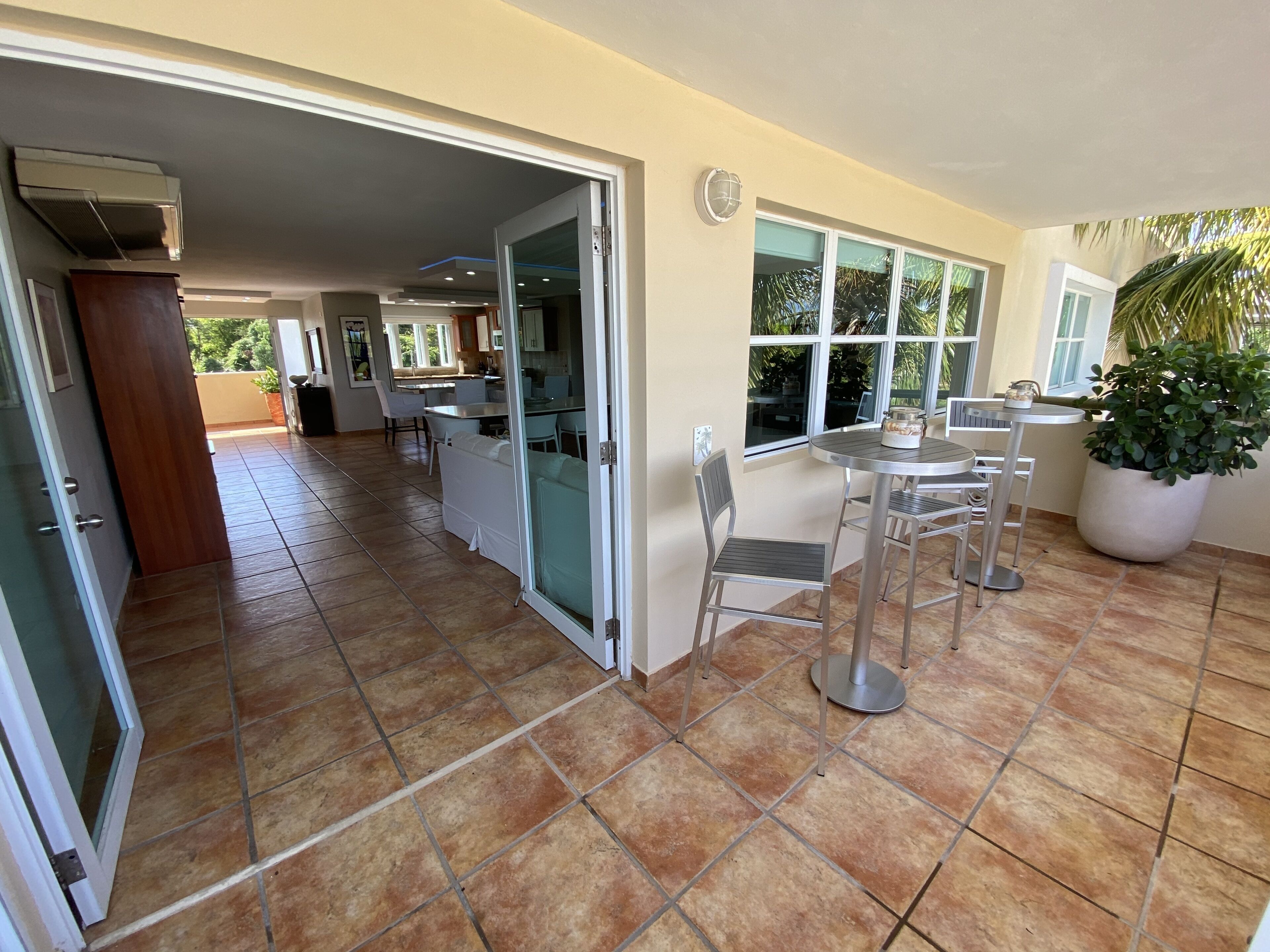 Cocina amplia con comedor, ventanas grandes y una planta en maceta.