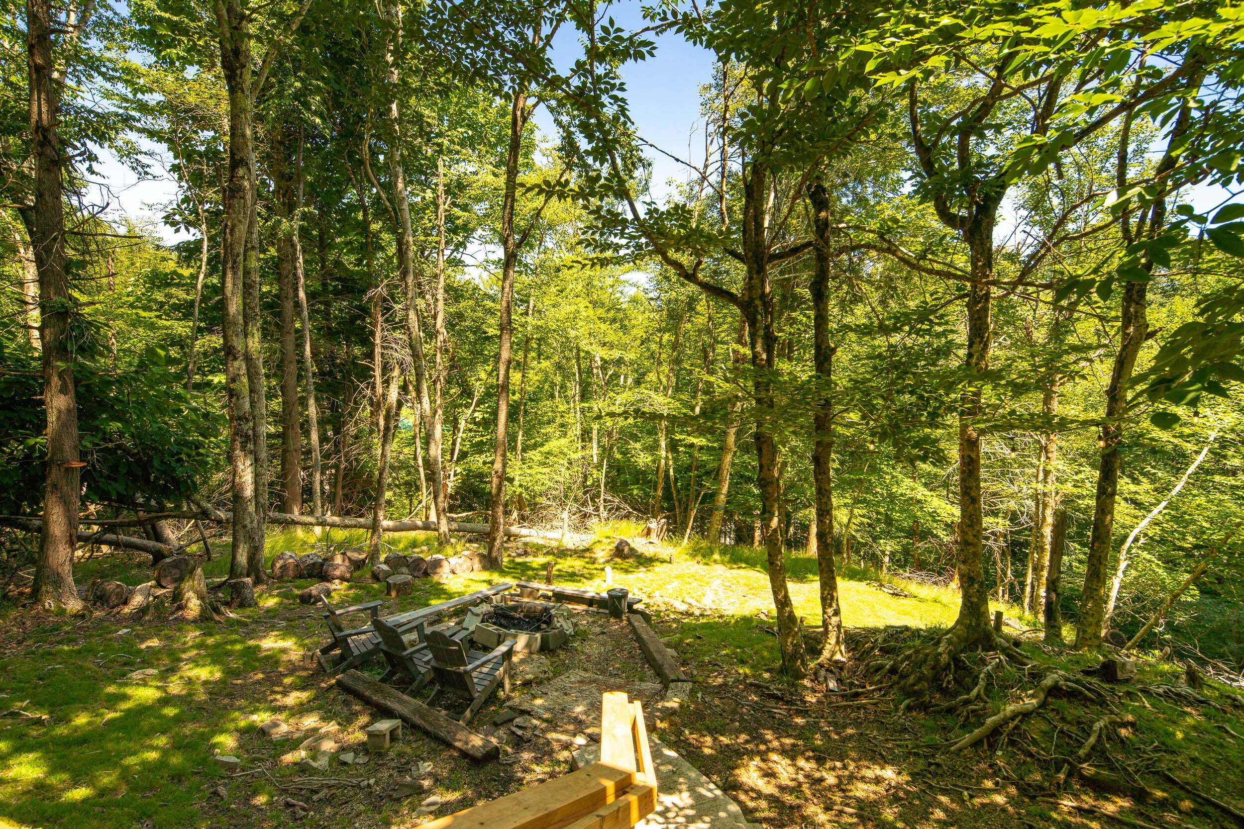 A forested campsite with a fire pit, benches, and a picnic table.