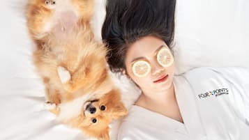 ペット同伴可