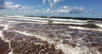 Oysterbay Mökki - Fun, Beach and Food