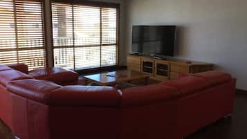Smart TV, chimenea y reproductor de DVD