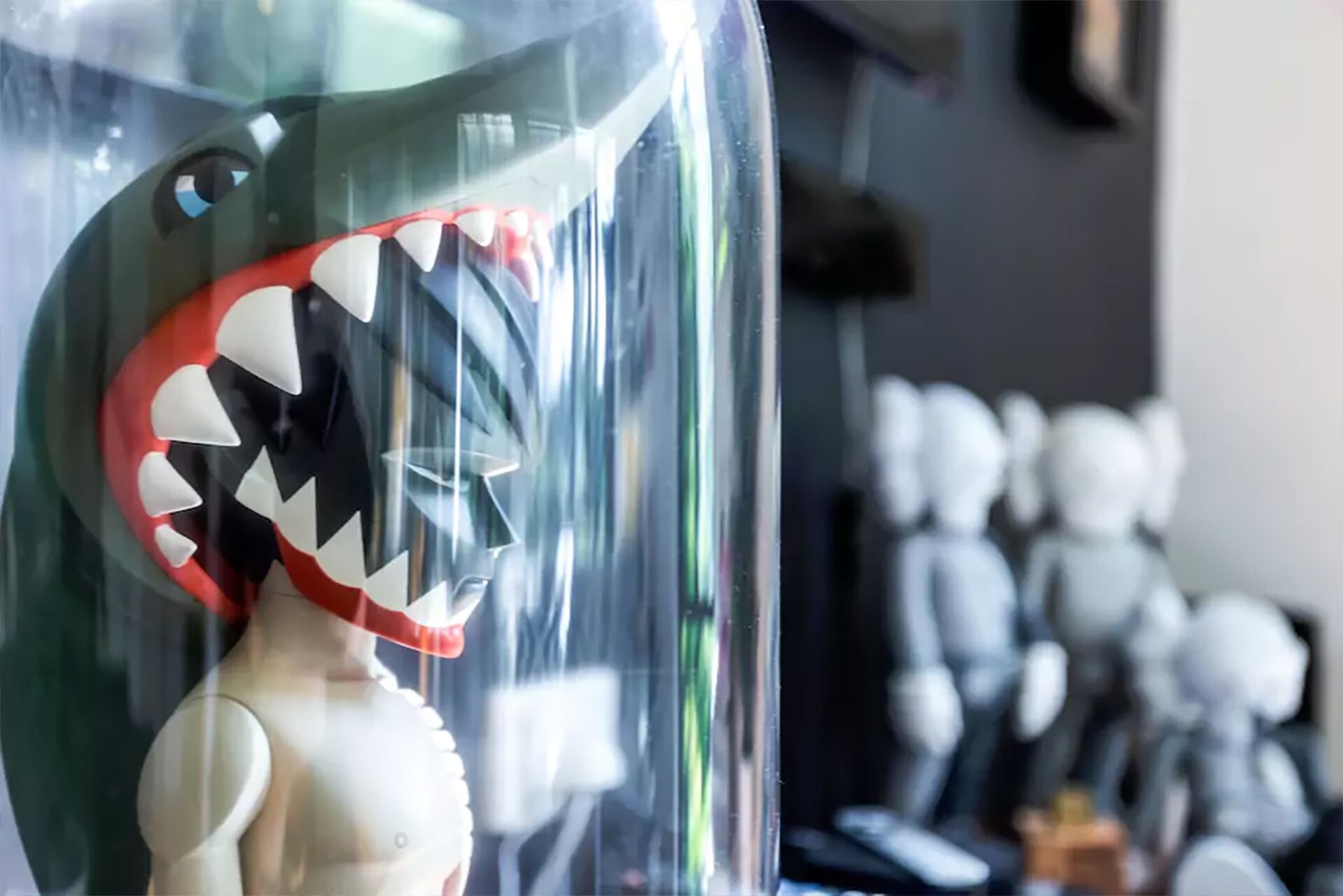 Tranquil House in the Foothill of the Dandy Ranges — image 24