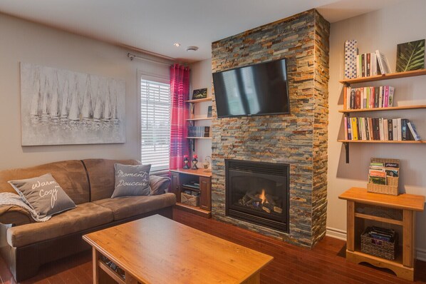 TV, fireplace, DVD player