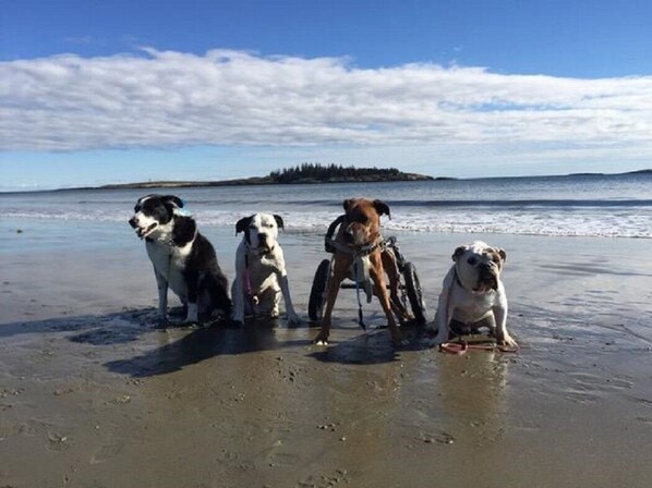 Am Strand