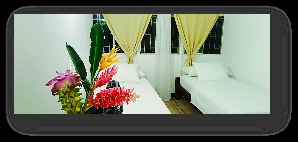 Basic Single Room, 2 Single Beds, Kitchenette | Free WiFi, wheelchair access