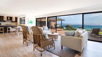 Smart TV, fireplace, Netflix, DVD player