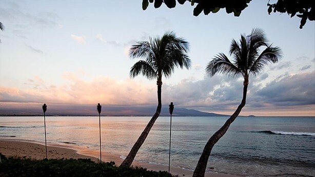 A beach scene with two palm trees and a view of the ocean. - Romantic Beachfront Getaway (Maalaea Bay)