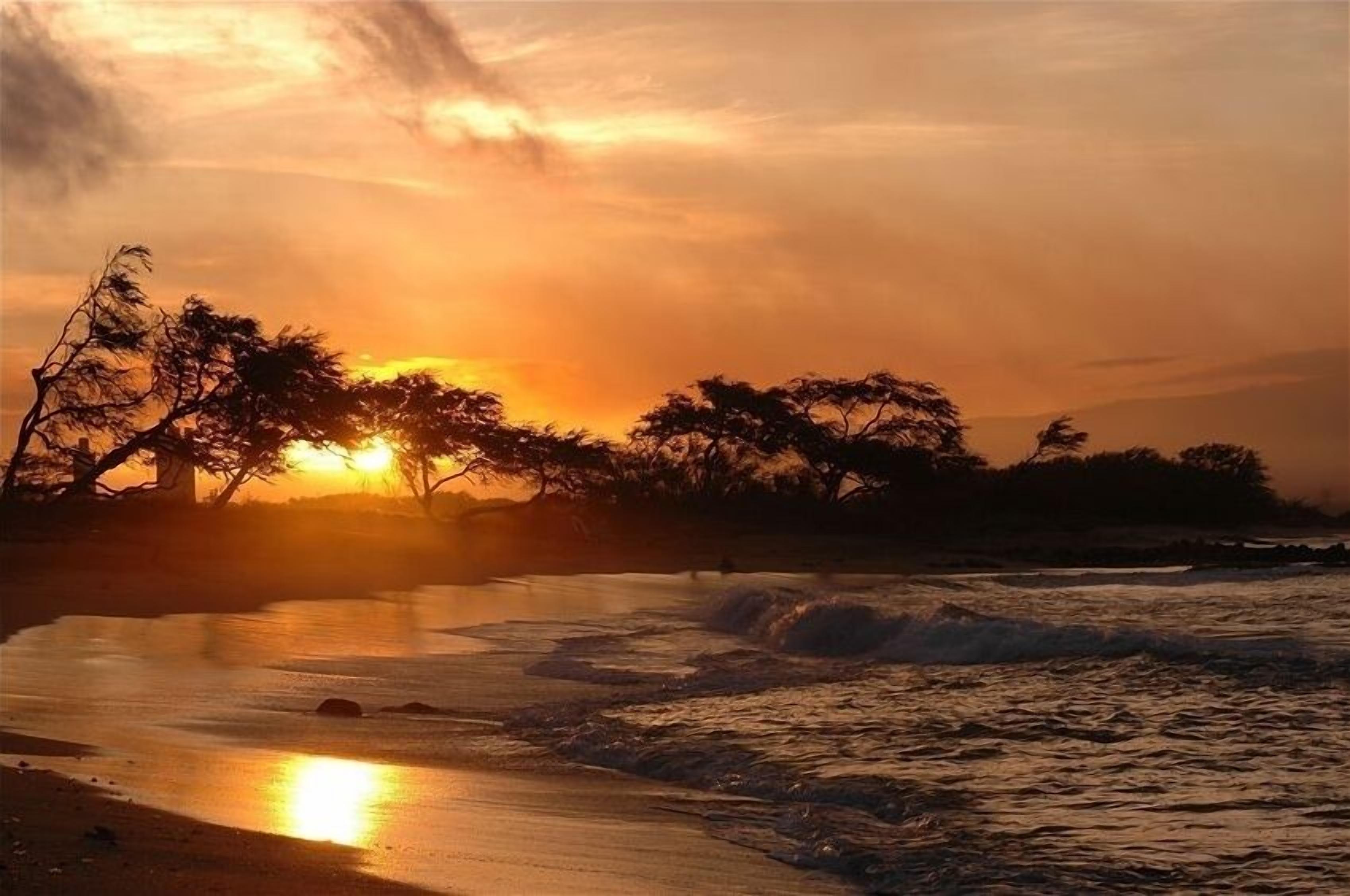 A sunset over a beach with waves and trees silhouetted against the sky.