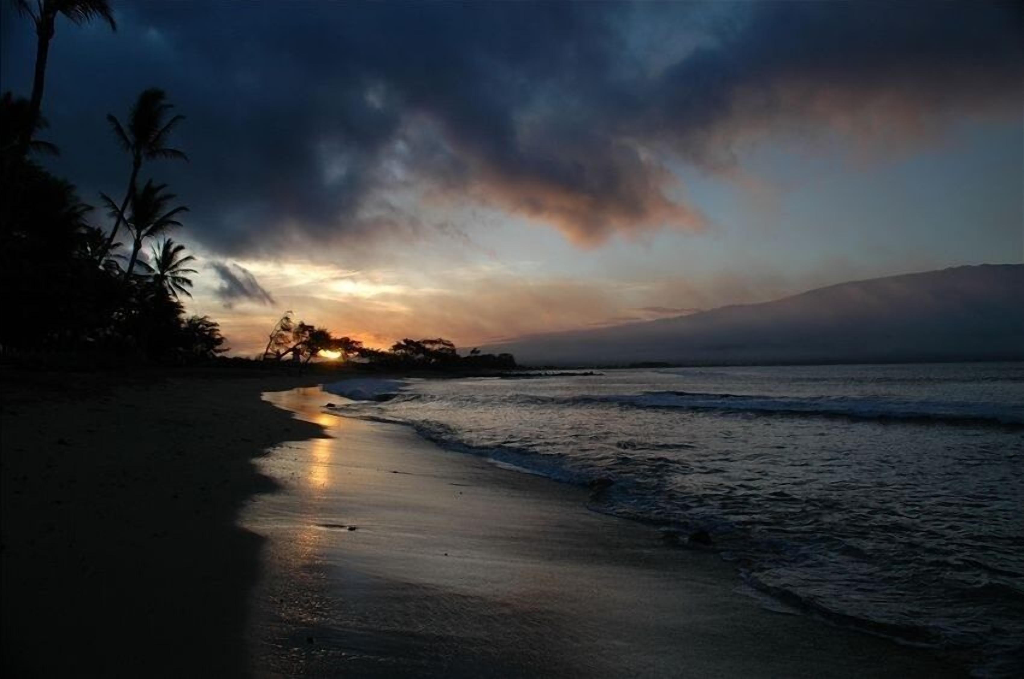Une plage au coucher du soleil, avec des palmiers et une mer calme.