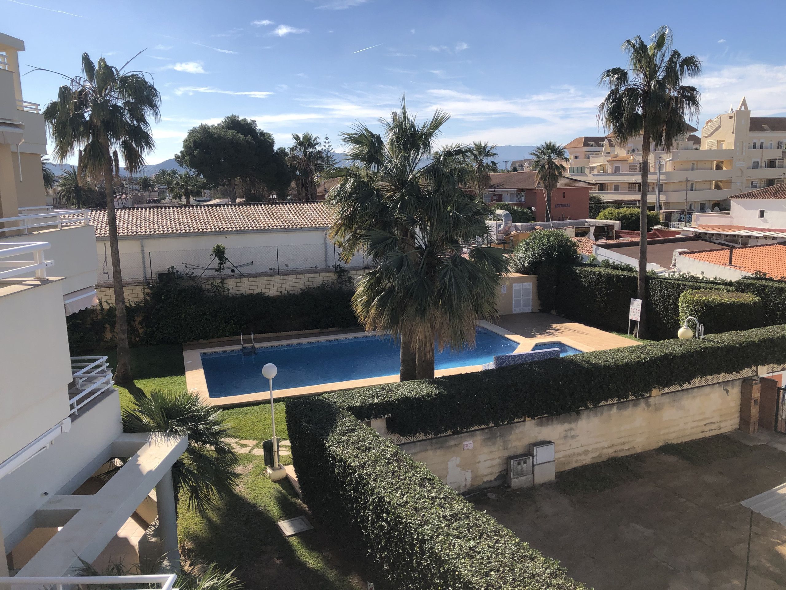Un quartier résidentiel doté d’une piscine entourée de palmiers et de haies.