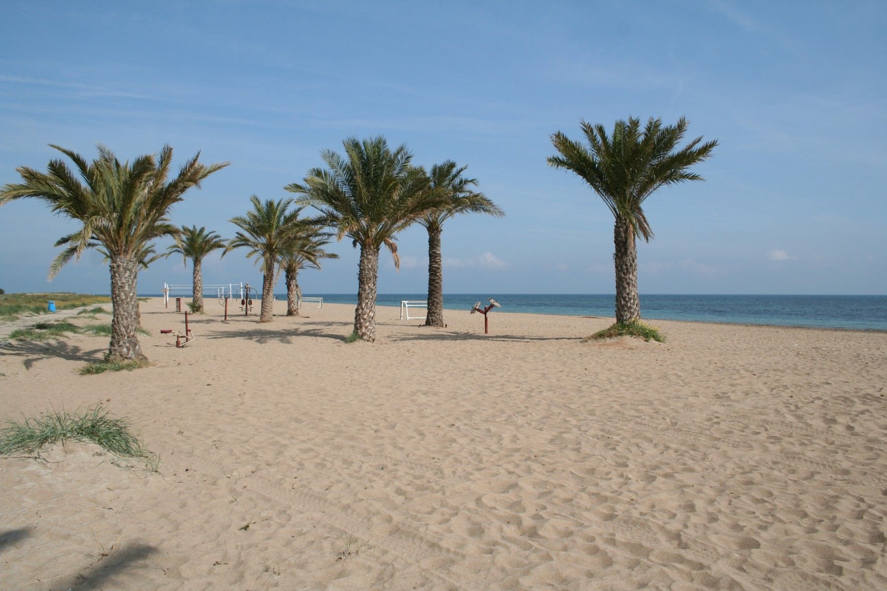 A sandy beach with palm trees and a clear blue sky.